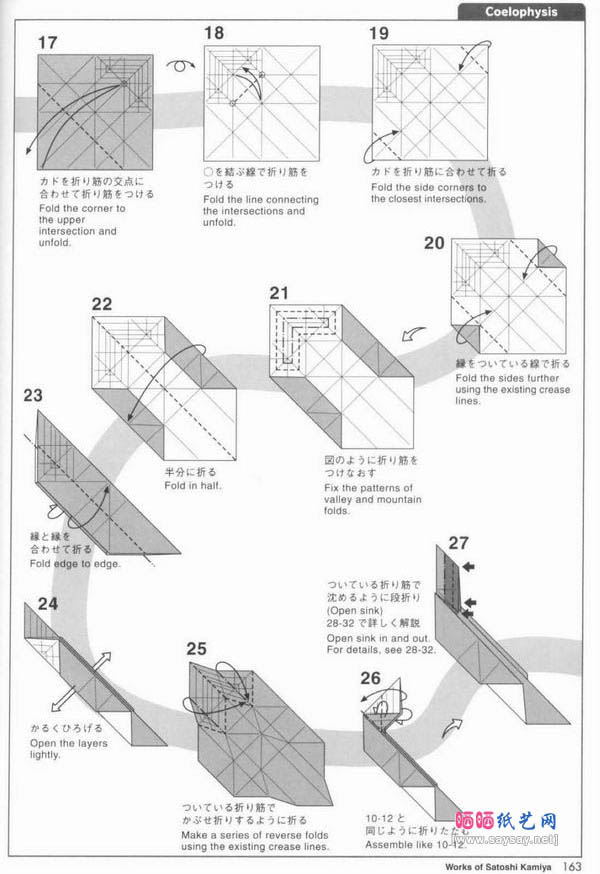 虚形龙折纸